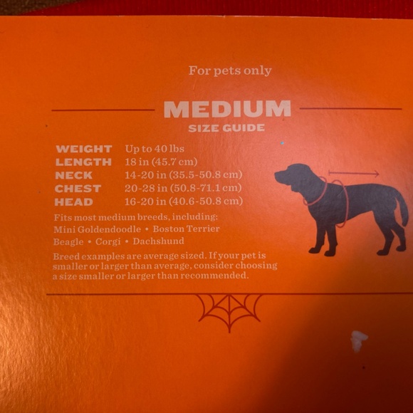 New, Light-up Rainbow Dog Costume, Medium (adjustable) - Picture 3 of 4